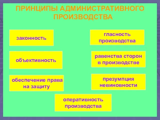 ПРИНЦИПЫ АДМИНИСТРАТИВНОГО ПРОИЗВОДСТВА объективность равенства сторон в производстве гласность производства законность