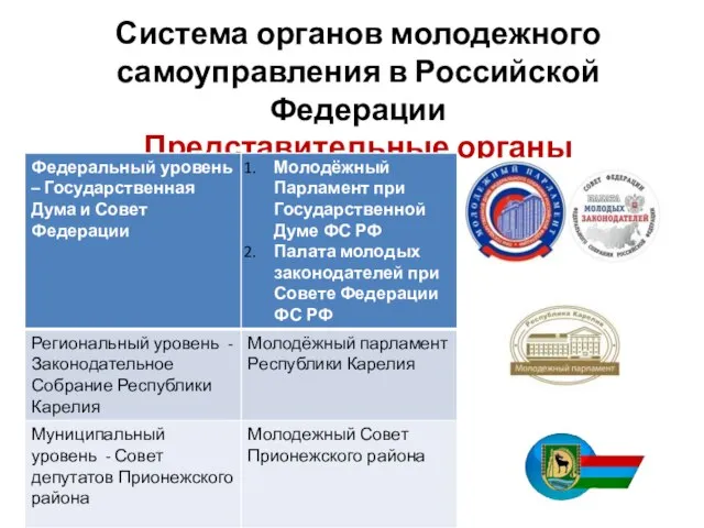 Система органов молодежного самоуправления в Российской Федерации Представительные органы