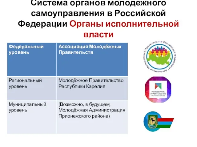 Система органов молодежного самоуправления в Российской Федерации Органы исполнительной власти