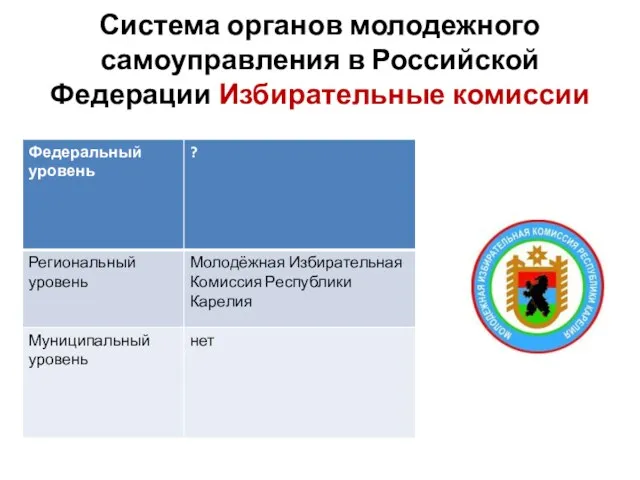 Система органов молодежного самоуправления в Российской Федерации Избирательные комиссии