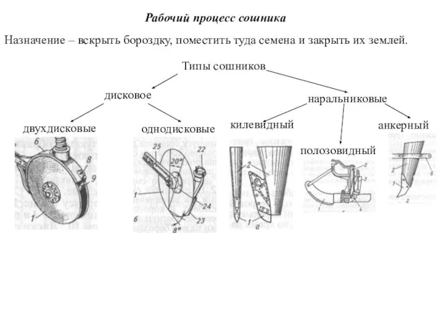 Рабочий процесс сошника Назначение – вскрыть бороздку, поместить туда семена и