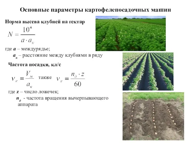 Основные параметры картофелепосадочных машин Норма высева клубней на гектар где а