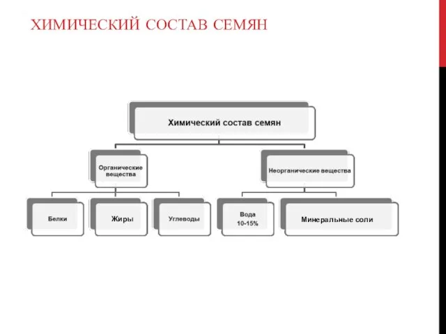 ХИМИЧЕСКИЙ СОСТАВ СЕМЯН Жиры Минеральные соли