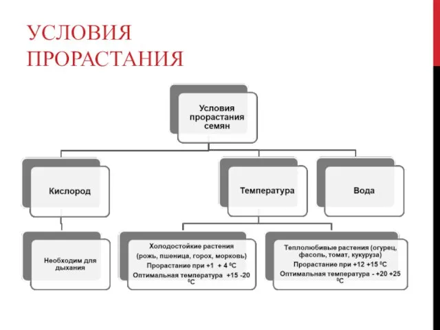 УСЛОВИЯ ПРОРАСТАНИЯ