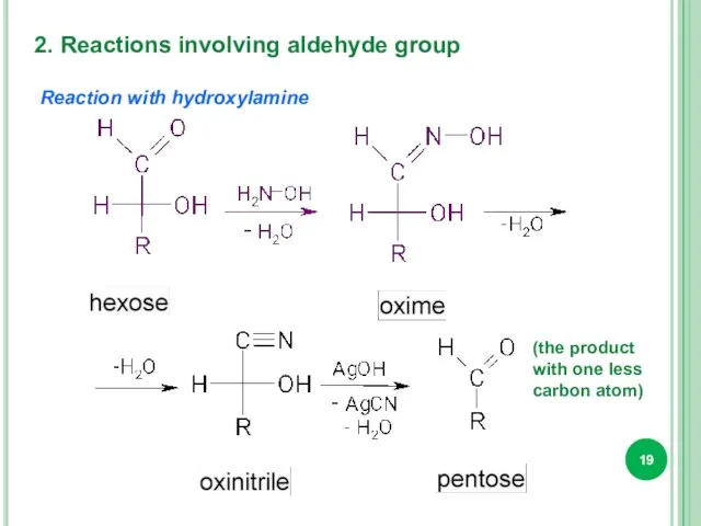 2. Reactions involving aldehyde group Reaction with hydroxylamine (the product with one less carbon atom)