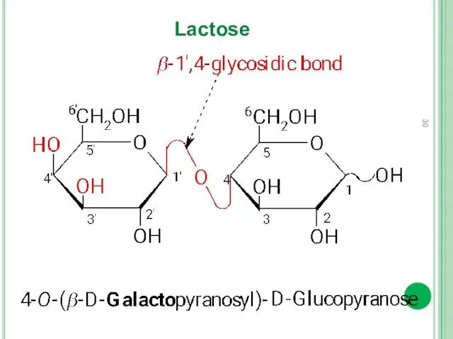 Lactose