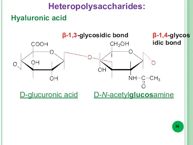 Hyaluronic acid β-1,3-glycosidic bond β-1,4-glycosidic bond D-glucuronic acid D-N-acetylglucosamine Heteropolysaccharides: