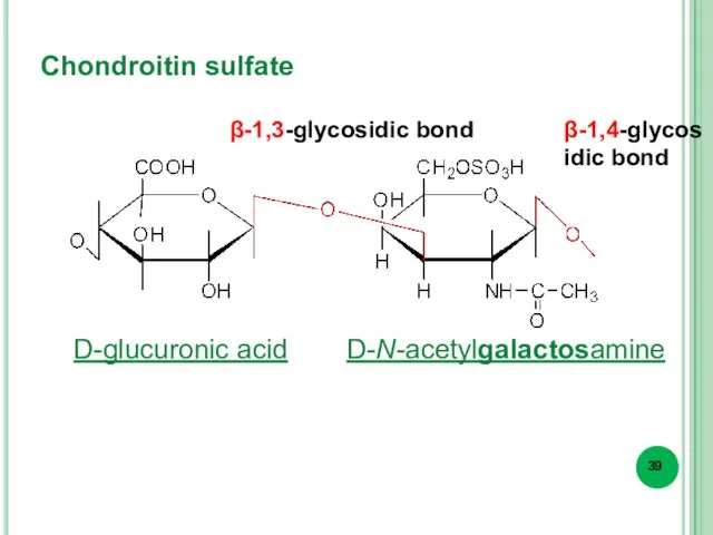 Chondroitin sulfate β-1,3-glycosidic bond β-1,4-glycosidic bond D-glucuronic acid D-N-acetylgalactosamine