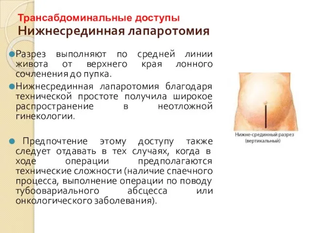 Нижнесрединная лапаротомия Разрез выполняют по средней линии живота от верхнего края