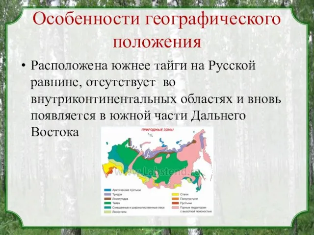 Особенности географического положения Расположена южнее тайги на Русской равнине, отсутствует во