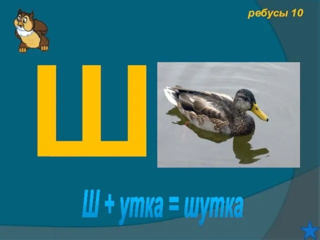 ребусы 10 Ш Ш + утка = шутка