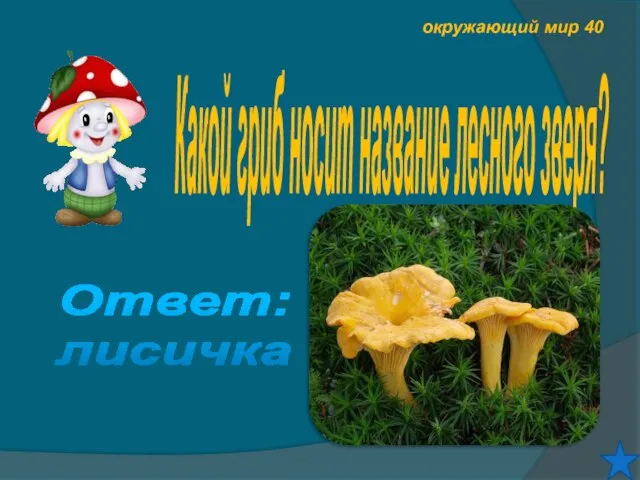 окружающий мир 40 Какой гриб носит название лесного зверя? Ответ: лисичка