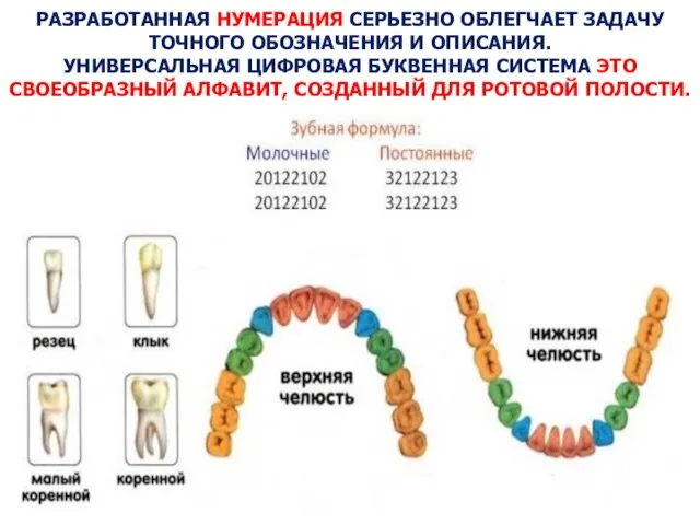 РАЗРАБОТАННАЯ НУМЕРАЦИЯ СЕРЬЕЗНО ОБЛЕГЧАЕТ ЗАДАЧУ ТОЧНОГО ОБОЗНАЧЕНИЯ И ОПИСАНИЯ. УНИВЕРСАЛЬНАЯ ЦИФРОВАЯ