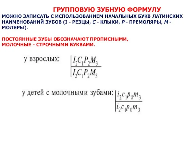 ГРУППОВУЮ ЗУБНУЮ ФОРМУЛУ МОЖНО ЗАПИСАТЬ С ИСПОЛЬЗОВАНИЕМ НАЧАЛЬНЫХ БУКВ ЛАТИНСКИХ НАИМЕНОВАНИЙ