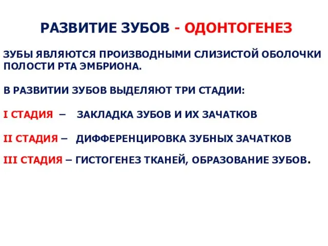 РАЗВИТИЕ ЗУБОВ - ОДОНТОГЕНЕЗ ЗУБЫ ЯВЛЯЮТСЯ ПРОИЗВОДНЫМИ СЛИЗИСТОЙ ОБОЛОЧКИ ПОЛОСТИ РТА