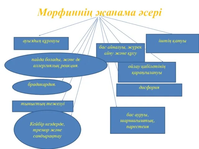 Морфиннің жанама әсері дисфория іштің қатуы ауыздың құрғауы ойлау қабілетінің қараңғылануы