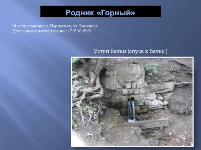 Родник «Горный» Местоположение: г. Перевальск, ул. Каменная Дата и время паспортизации: