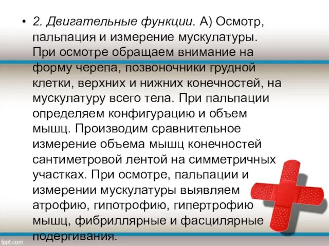 2. Двигательные функции. А) Осмотр, пальпация и измерение мускулатуры. При осмотре