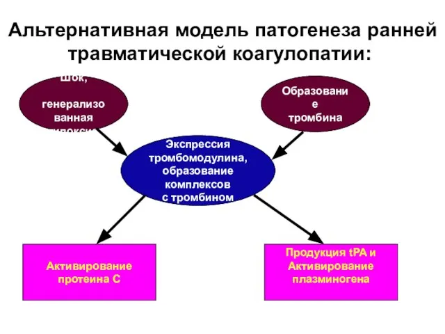 Альтернативная модель патогенеза ранней травматической коагулопатии: Шок, генерализованная гипоксия Образование тромбина