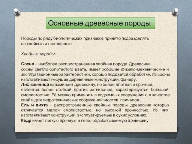 Основные древесные породы Породы по ряду биологических признаков принято подразделять на