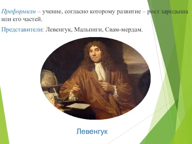 Преформизм – учение, согласно которому развитие – рост зародыша или его