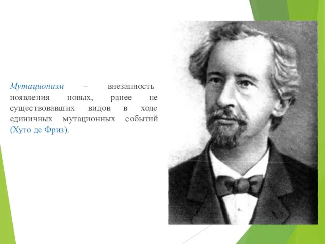 Мутационизм – внезапность появления новых, ранее не существовавших видов в ходе