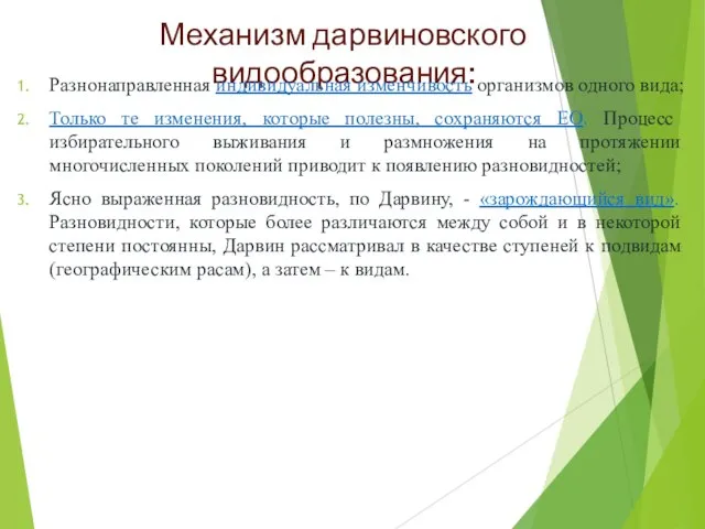 Механизм дарвиновского видообразования: Разнонаправленная индивидуальная изменчивость организмов одного вида; Только те