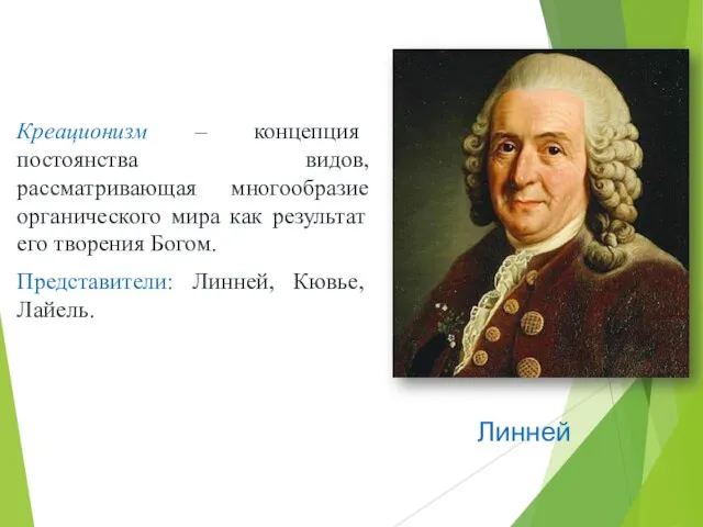 Креационизм – концепция постоянства видов, рассматривающая многообразие органического мира как результат