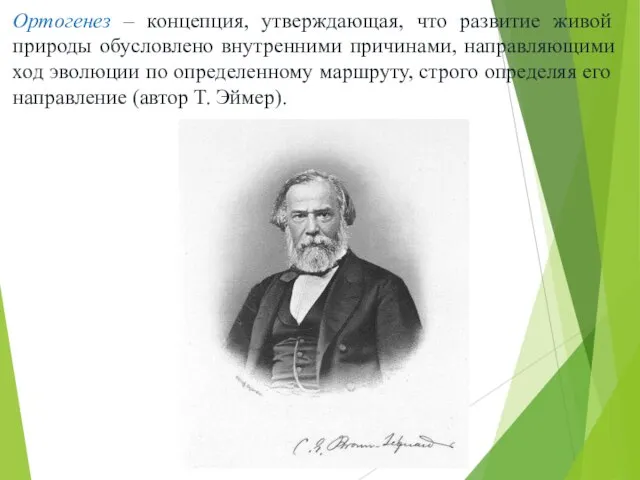 Ортогенез – концепция, утверждающая, что развитие живой природы обусловлено внутренними причинами,