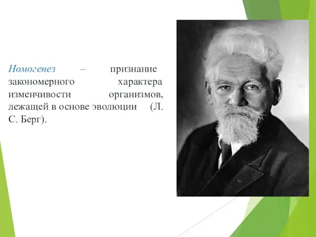 Номогенез – признание закономерного характера изменчивости организмов, лежащей в основе эволюции (Л. С. Берг).