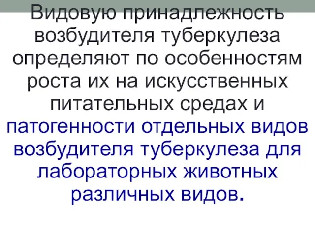 Видовую принадлежность возбудителя туберкулеза определяют по особенностям роста их на искусственных