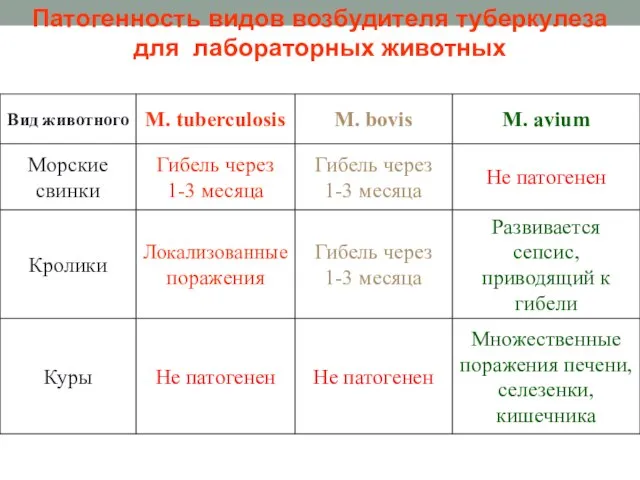 Патогенность видов возбудителя туберкулеза для лабораторных животных