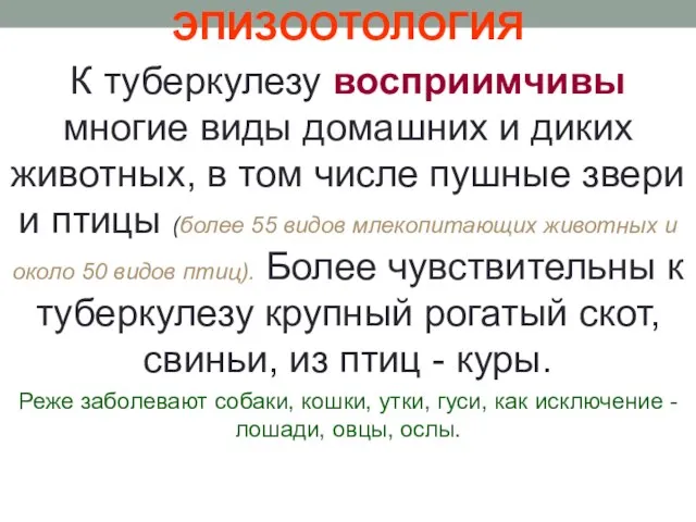 ЭПИЗООТОЛОГИЯ К туберкулезу восприимчивы многие виды домашних и диких животных, в