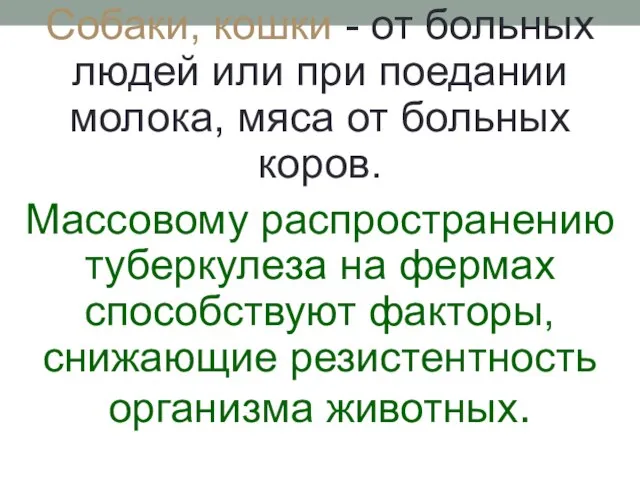 Собаки, кошки - от больных людей или при поедании молока, мяса