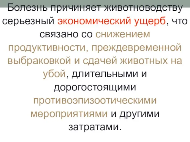 Болезнь причиняет животноводству серьезный экономический ущерб, что связано со снижением продуктивности,