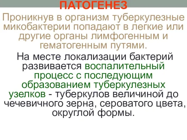 ПАТОГЕНЕЗ Проникнув в организм туберкулезные микобактерии попадают в легкие или другие