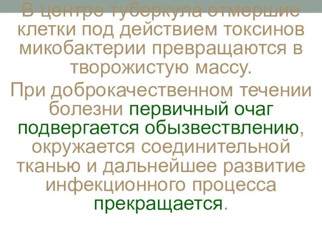 В центре туберкула отмершие клетки под действием токсинов микобактерии превращаются в