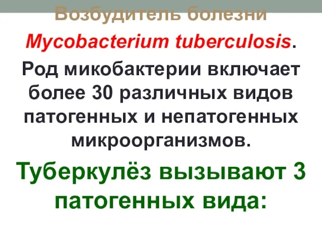 Возбудитель болезни Mycobacterium tuberculosis. Род микобактерии включает более 30 различных видов