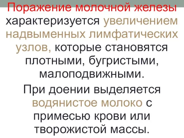 Поражение молочной железы характеризуется увеличением надвыменных лимфатических узлов, которые становятся плотными,