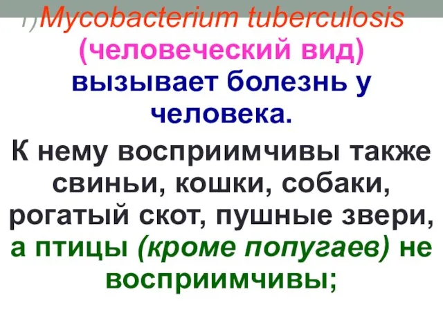 Mycobacterium tuberculosis (человеческий вид) вызывает болезнь у человека. К нему восприимчивы