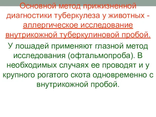 Основной метод прижизненной диагностики туберкулеза у животных - аллергическое исследование внутрикожной