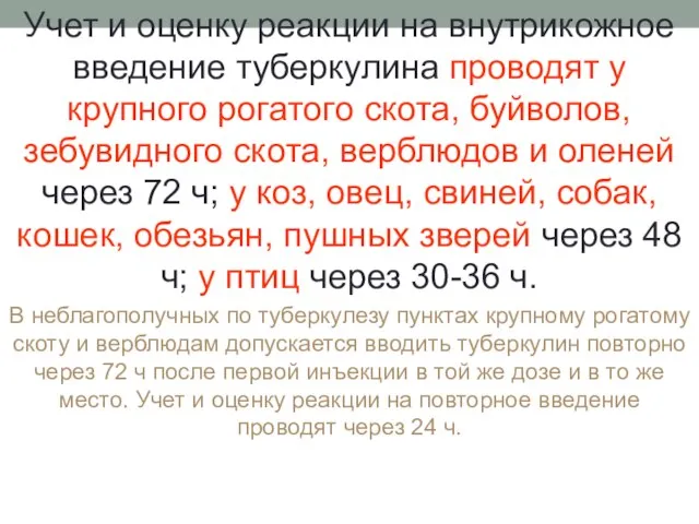 Учет и оценку реакции на внутрикожное введение туберкулина проводят у крупного