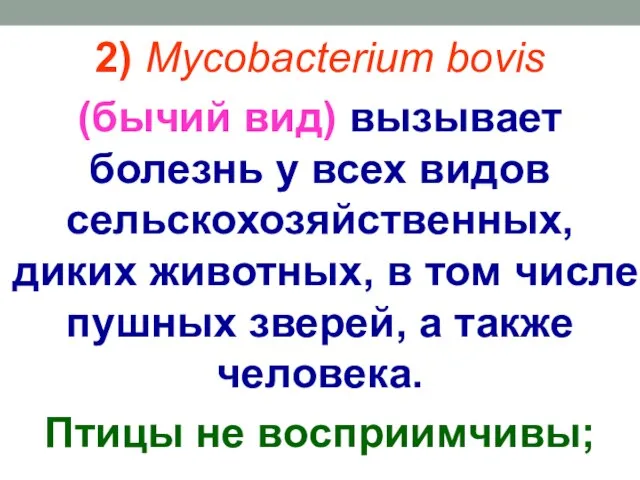 2) Mycobacterium bovis (бычий вид) вызывает болезнь у всех видов сельскохозяйственных,