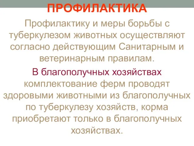 ПРОФИЛАКТИКА Профилактику и меры борьбы с туберкулезом животных осуществляют согласно действующим