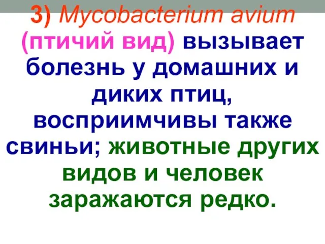 3) Mycobacterium avium (птичий вид) вызывает болезнь у домашних и диких