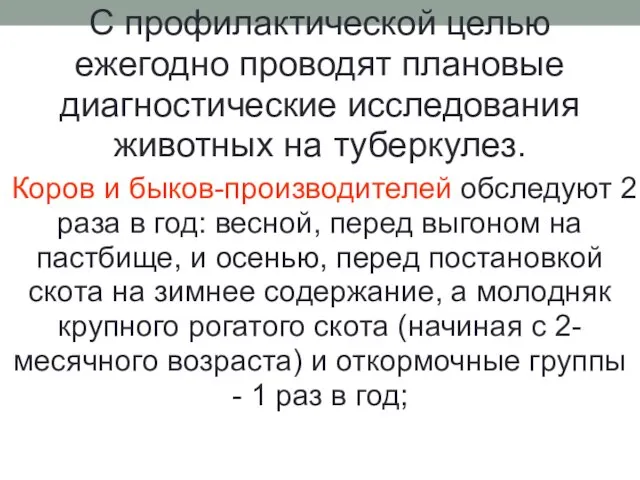 С профилактической целью ежегодно проводят плановые диагностические исследования животных на туберкулез.