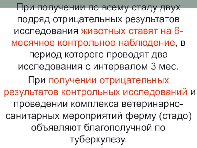 При получении по всему стаду двух подряд отрицательных результатов исследования животных