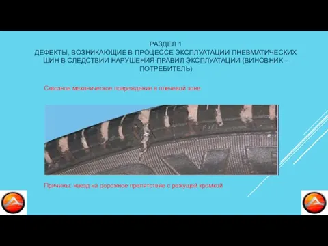 РАЗДЕЛ 1 ДЕФЕКТЫ, ВОЗНИКАЮЩИЕ В ПРОЦЕССЕ ЭКСПЛУАТАЦИИ ПНЕВМАТИЧЕСКИХ ШИН В СЛЕДСТВИИ