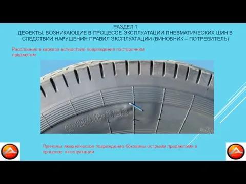 РАЗДЕЛ 1 ДЕФЕКТЫ, ВОЗНИКАЮЩИЕ В ПРОЦЕССЕ ЭКСПЛУАТАЦИИ ПНЕВМАТИЧЕСКИХ ШИН В СЛЕДСТВИИ