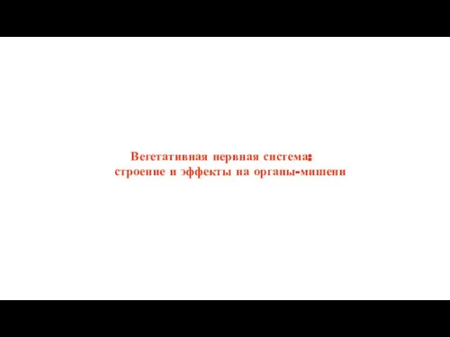 Вегетативная нервная система: строение и эффекты на органы-мишени